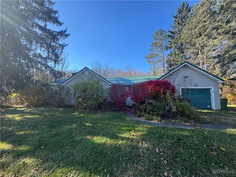 Homes For Sale - 8468 State Road<br/> Colden, NY 14033