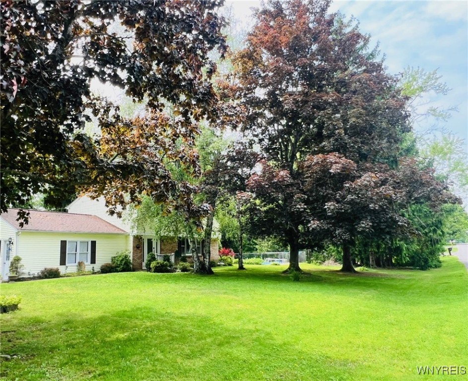 4876 Meadow Lane, Hamburg, New York image 1