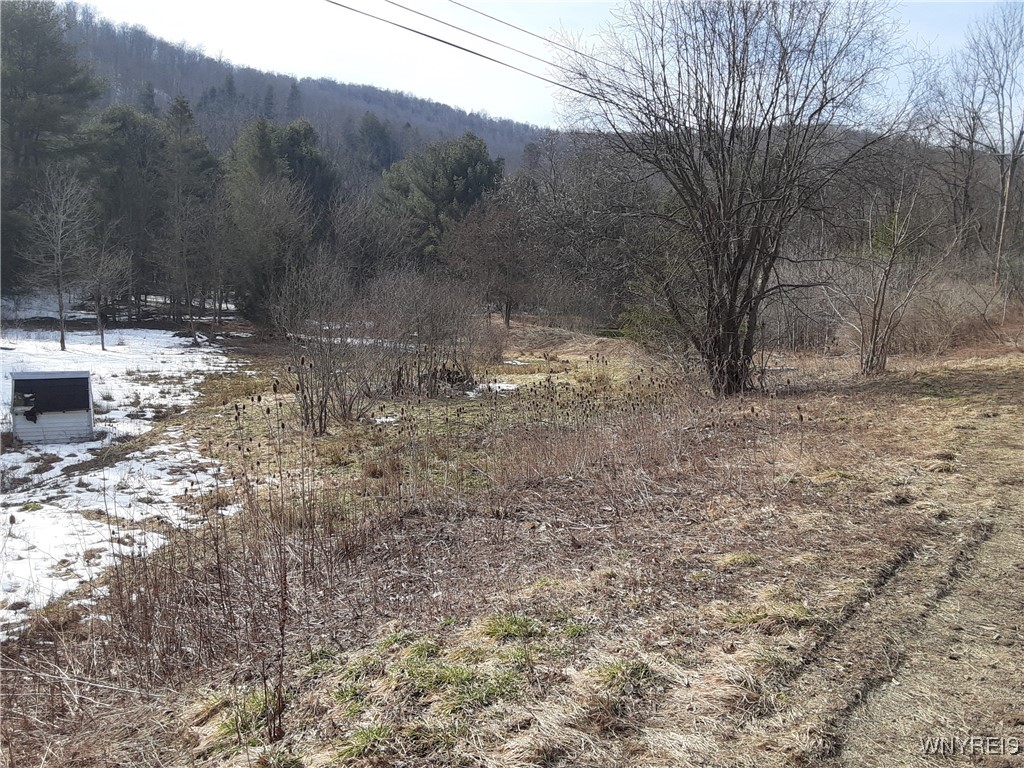 Lot A Porter Hollow Road, Great Valley, New York image 8