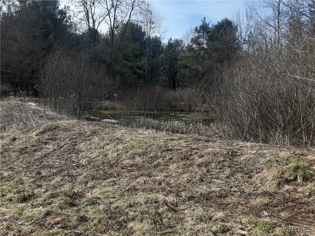 Lot A Porter Hollow Road, Great Valley, New York image 12