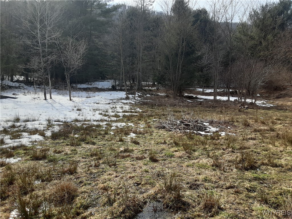 Lot A Porter Hollow Road, Great Valley, New York image 11