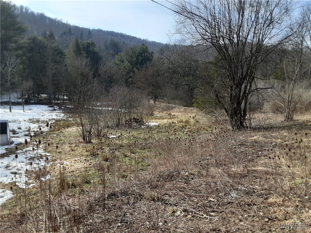 Lot A Porter Hollow Road, Great Valley, New York image 9