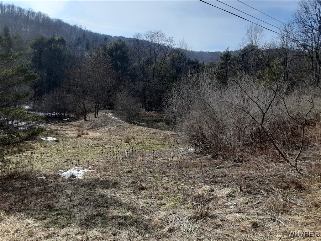 Lot A Porter Hollow Road, Great Valley, New York image 13