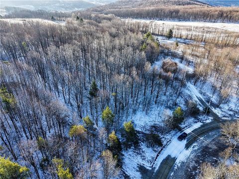 Vacant Land For Sale - 26 & 27 Creek Ridge Road<br/> Cattaraugus County, Ellicottville, NY 14731