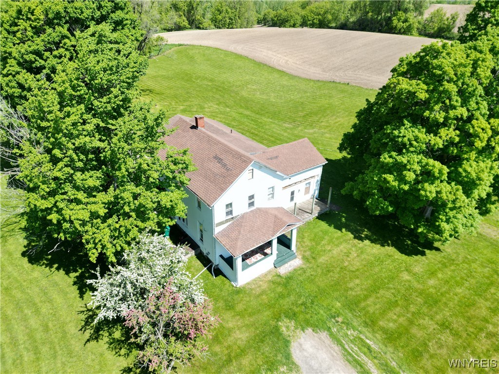 10248 Brookville Road, Alexander, New York image 2