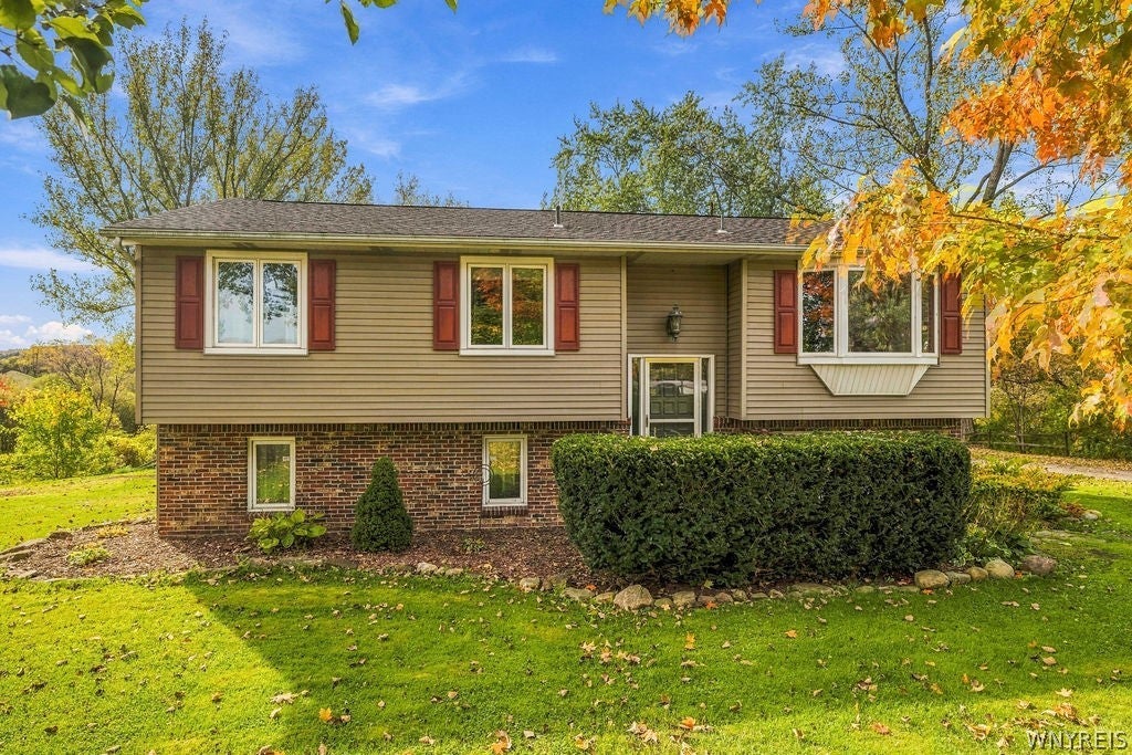 11867 Big Tree Road
