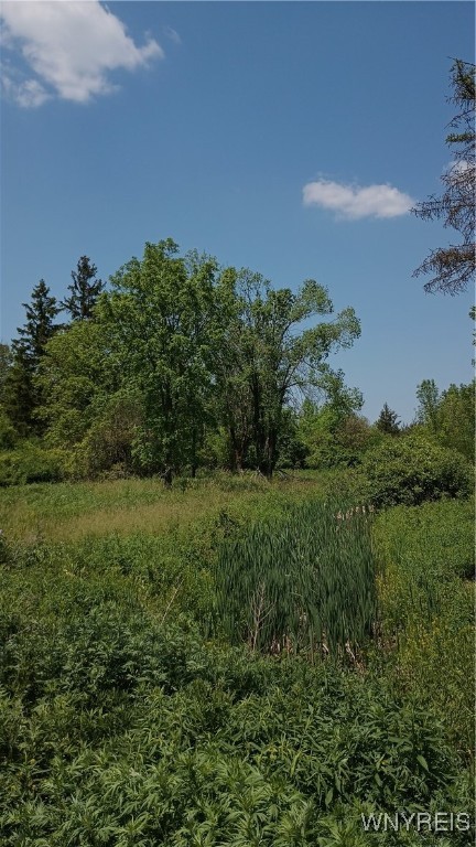 4876 William Street, Lancaster, New York image 2