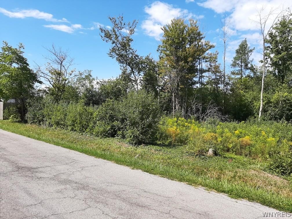 Photo of 5962 Rosewood Terrace W, Hamburg, NY 14075 (MLS # B1709531)