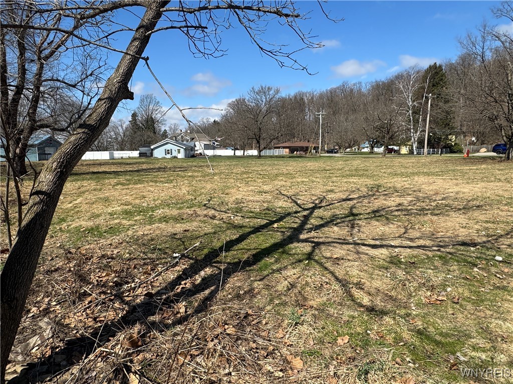 V/L Armes Court, Collins, New York image 11