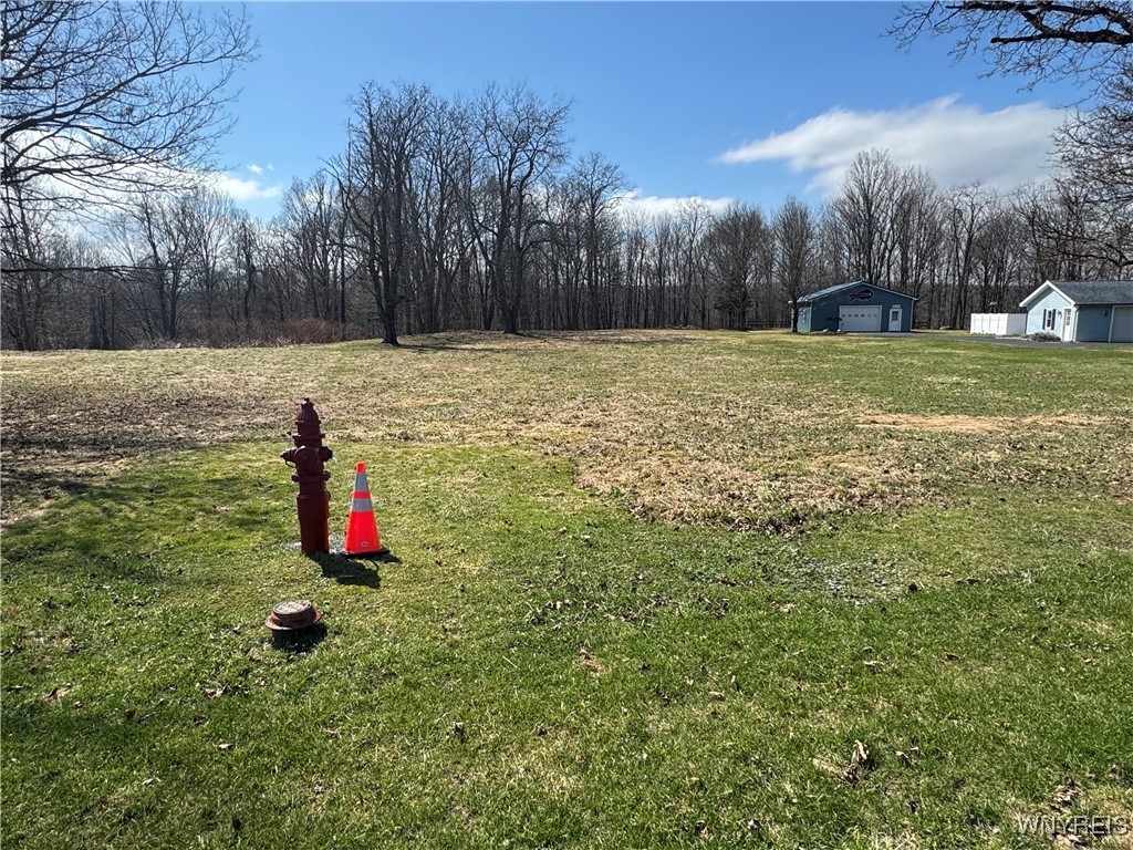 V/L Armes Court, Collins, New York image 5
