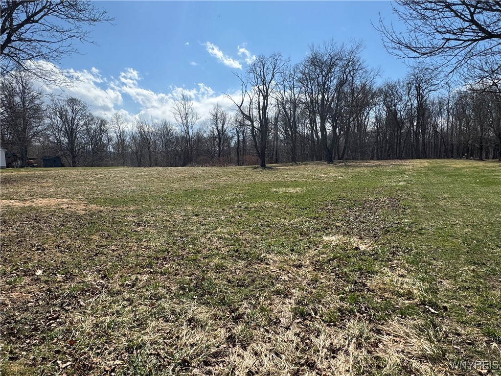 V/L Armes Court, Collins, New York image 6