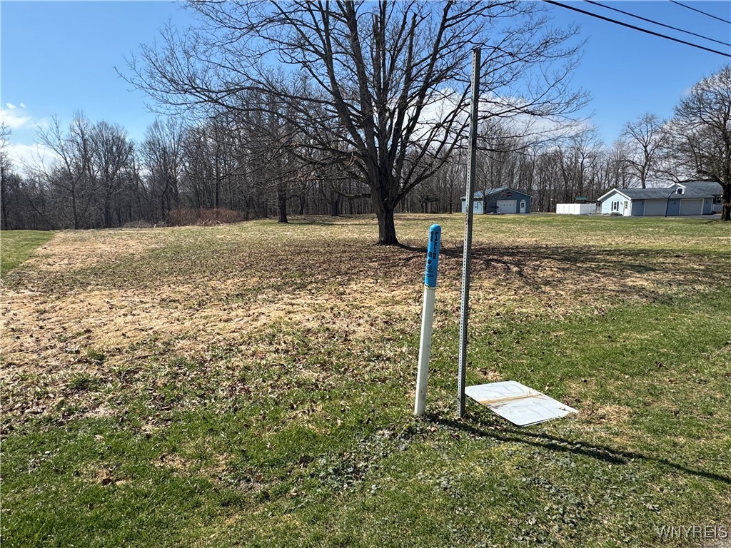 V/L Armes Court, Collins, New York image 3