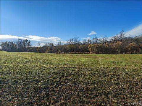 Vacant Land For Sale - Donahue Road<br/> Genesee County, Batavia, NY 14020