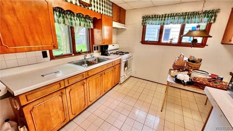 Tiny photo for 48 Swan Street, Salamanca, NY 14779 (MLS # B1684372)
