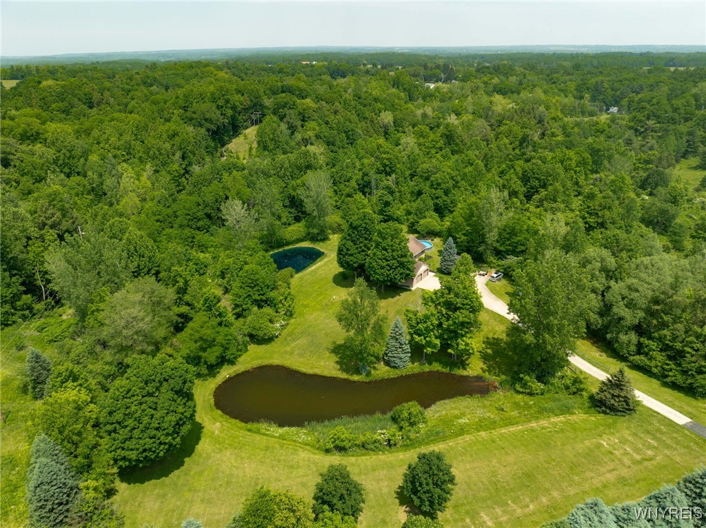2328 Gowanda Zoar Road, Collins, New York image 2