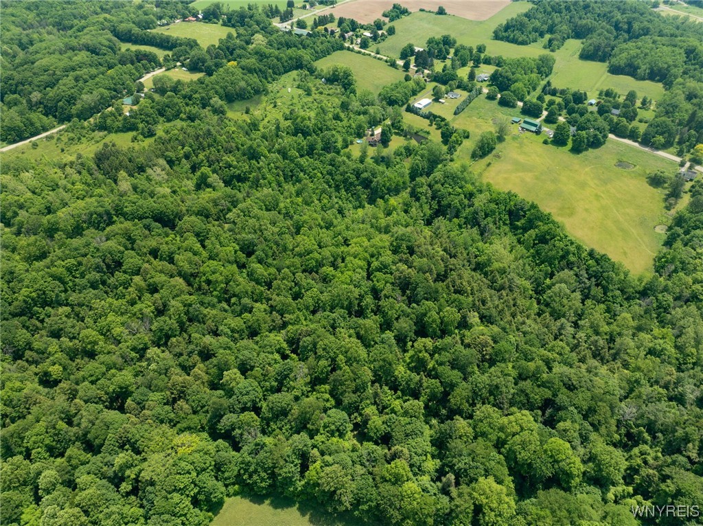 2328 Gowanda Zoar Road, Collins, New York image 42