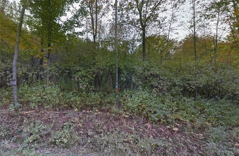 00 Buddle Road Richfield Springs NY 13439