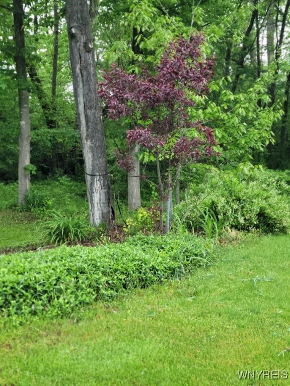 4368 State Route 19, Gainesville, New York image 26
