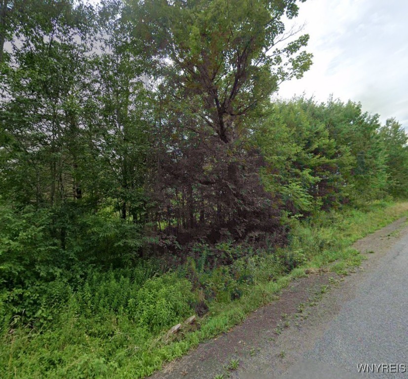 00 Quaker Hill Road, Harpersfield, New York image 2