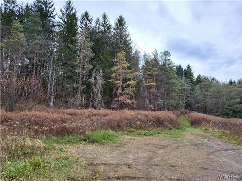 Vacant Land For Sale - Us Route 219<br/> Cattaraugus County, Ellicottville, NY 14731
