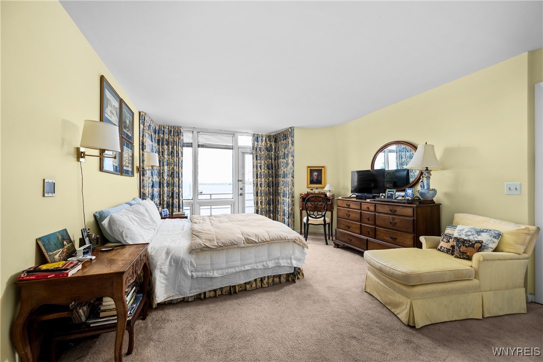288 Rivermist Drive, Buffalo, New York image 26