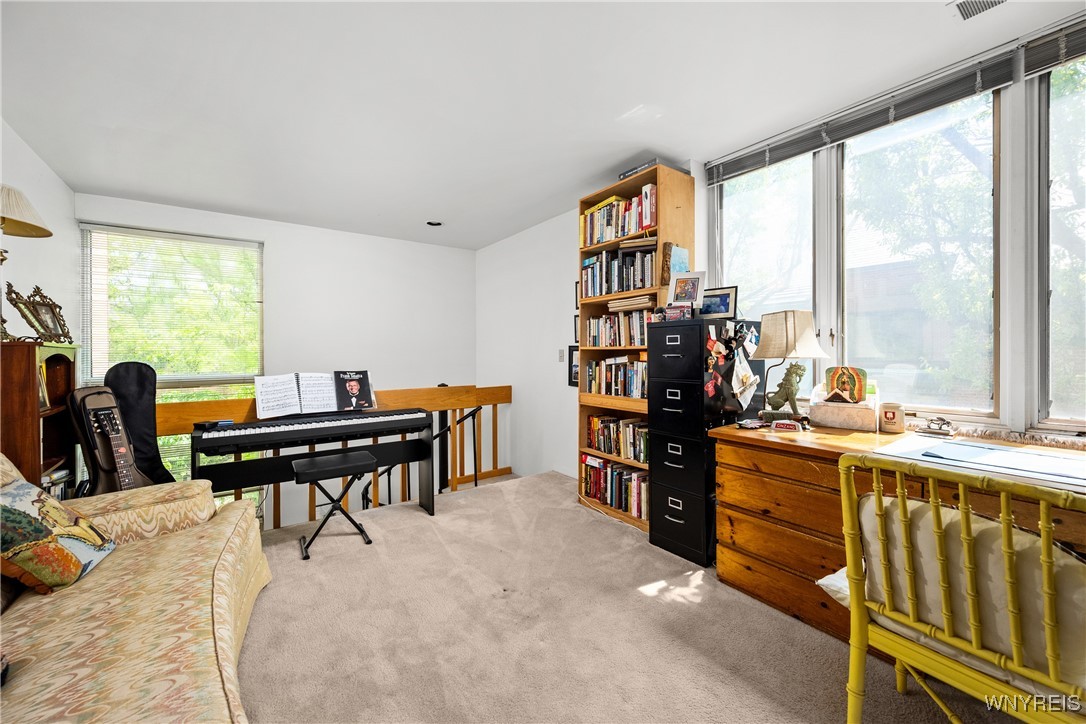 288 Rivermist Drive, Buffalo, New York image 32