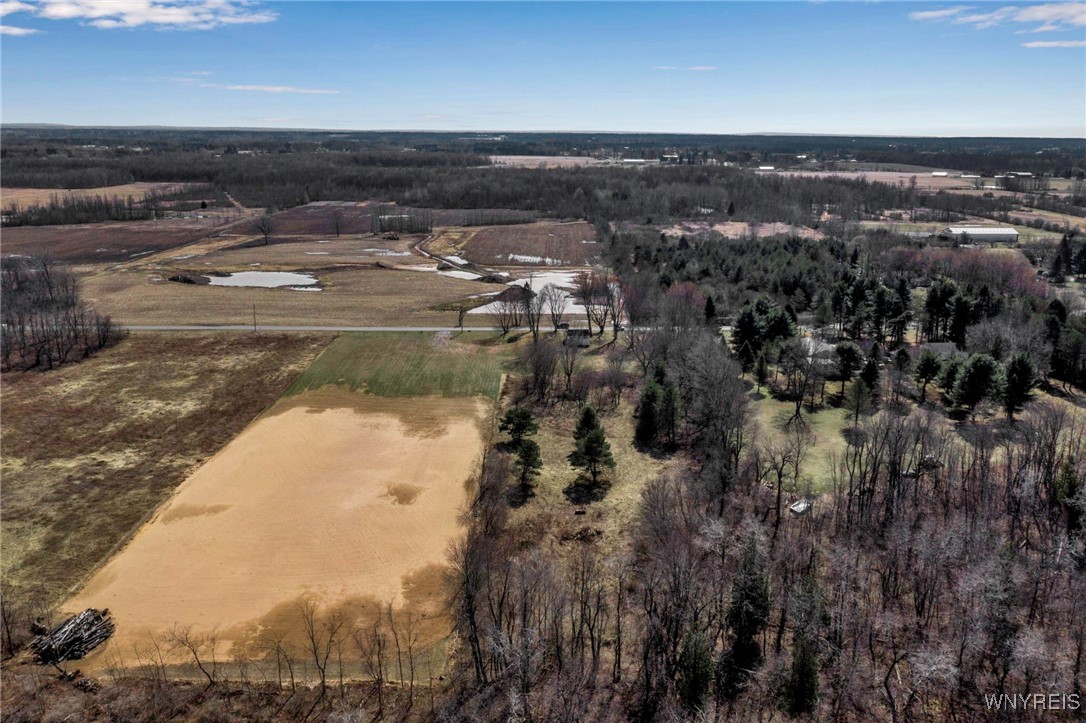 10840 Miland Road, Clarence, New York image 4