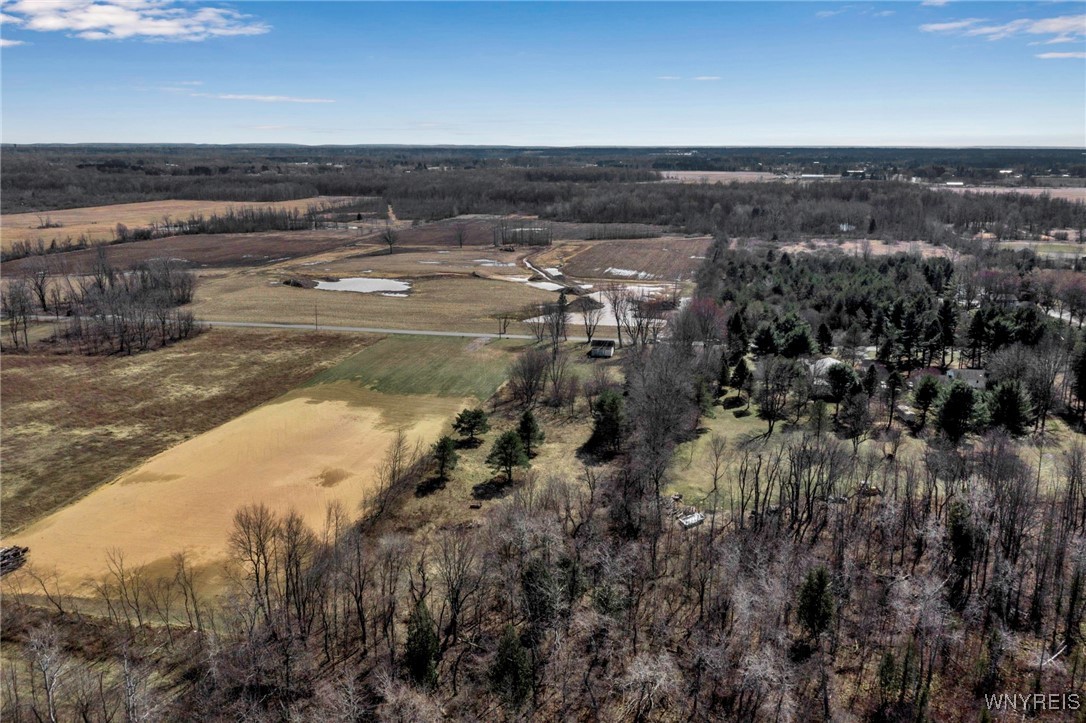 10840 Miland Road, Clarence, New York image 6