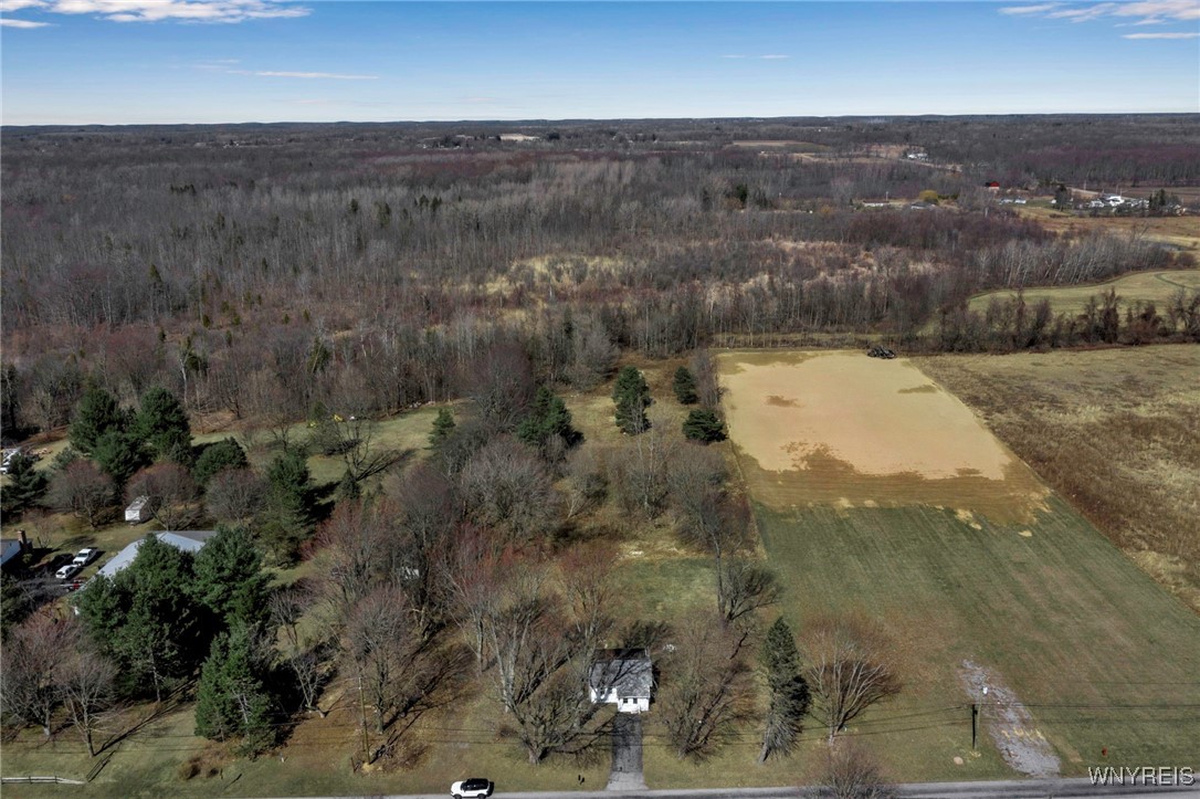 10840 Miland Road, Clarence, New York image 1