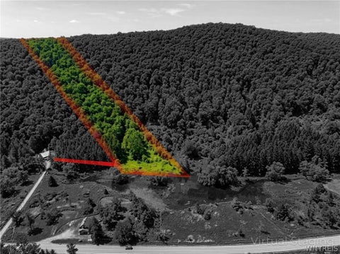 Vacant Land For Sale - Maples Road<br/> Ellicottville, NY 14731