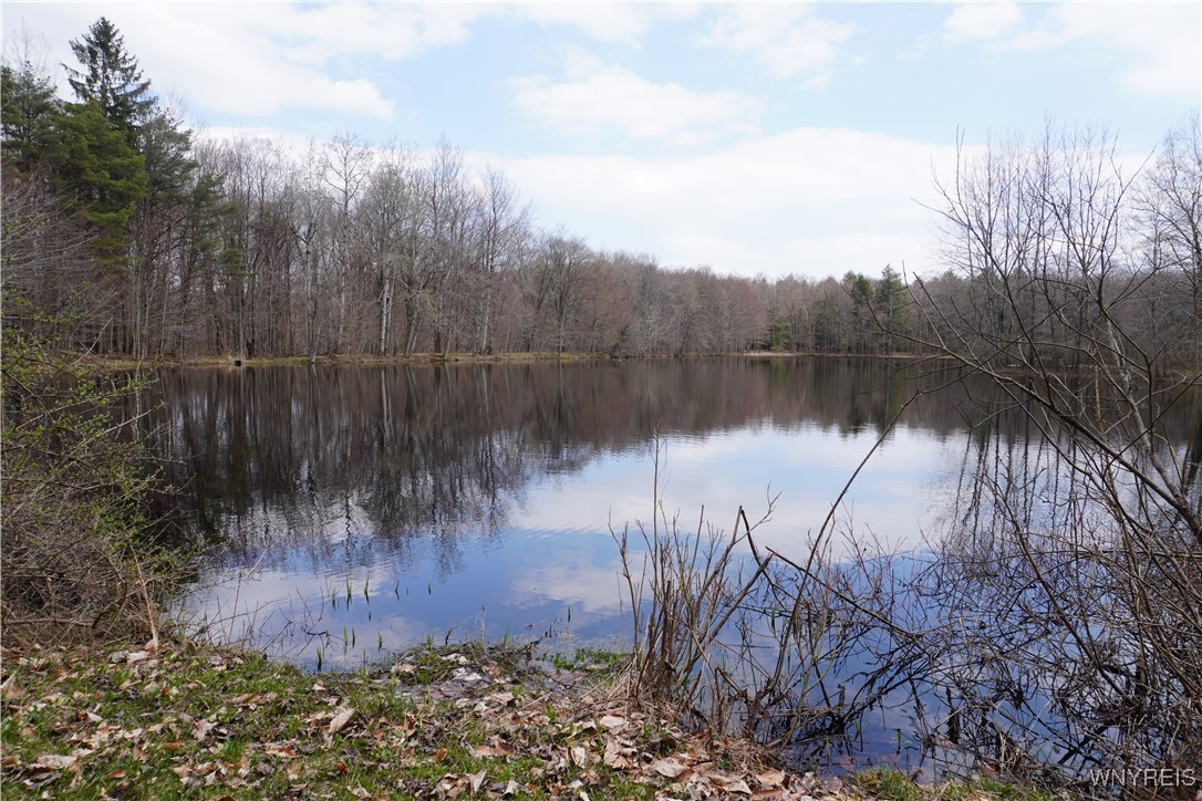 0 VL Blooming Hill Drive Lot 7/31 Drive, Freedom, New York image 13