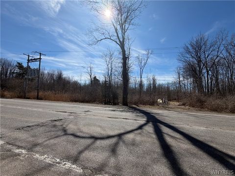 Main Street Corfu NY 14036