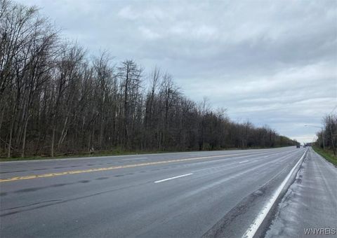 Vacant Land For Sale - VL Lake Shore Road<br/> Hamburg, NY 14085
