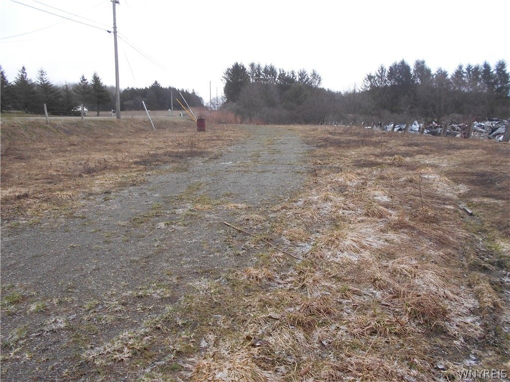Photo of 0 Route 39, Pike, NY 14066 (MLS # B1668862)