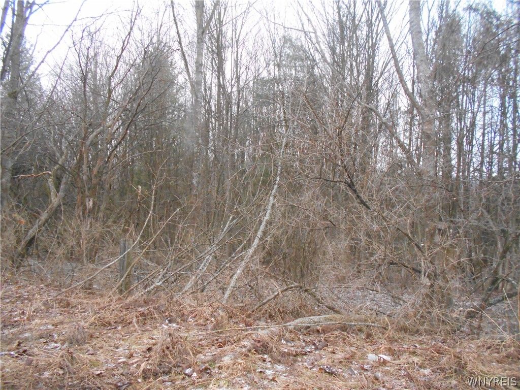 Photo of 0 Route 39, Pike, NY 14066 (MLS # B1668862)