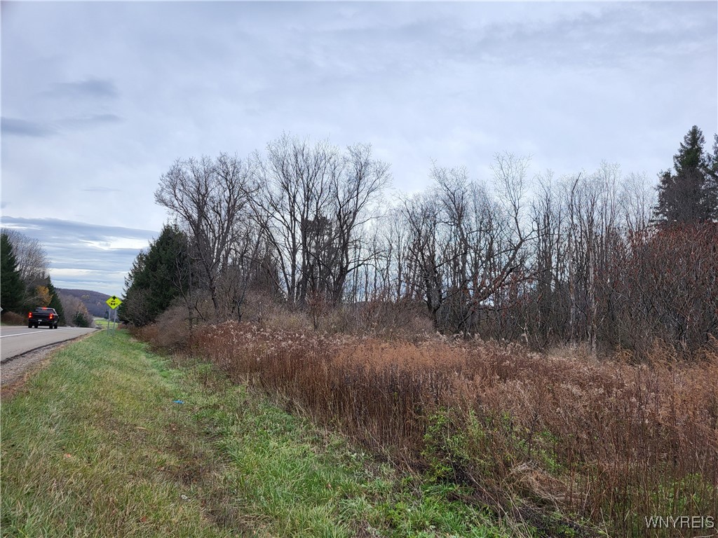 Us Route 219, Ellicottville, New York image 4