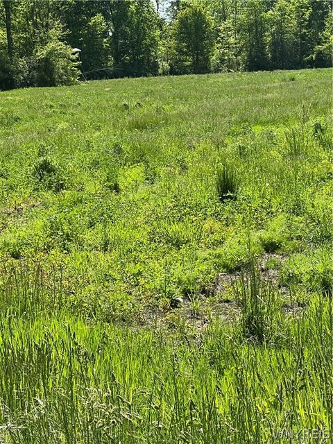 Vacant Land For Sale - 3554 & 3548 Beebe Road<br/> Wilson, NY 14108