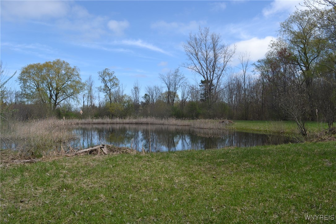 2021 Ferrier Road, Eden, New York image 4