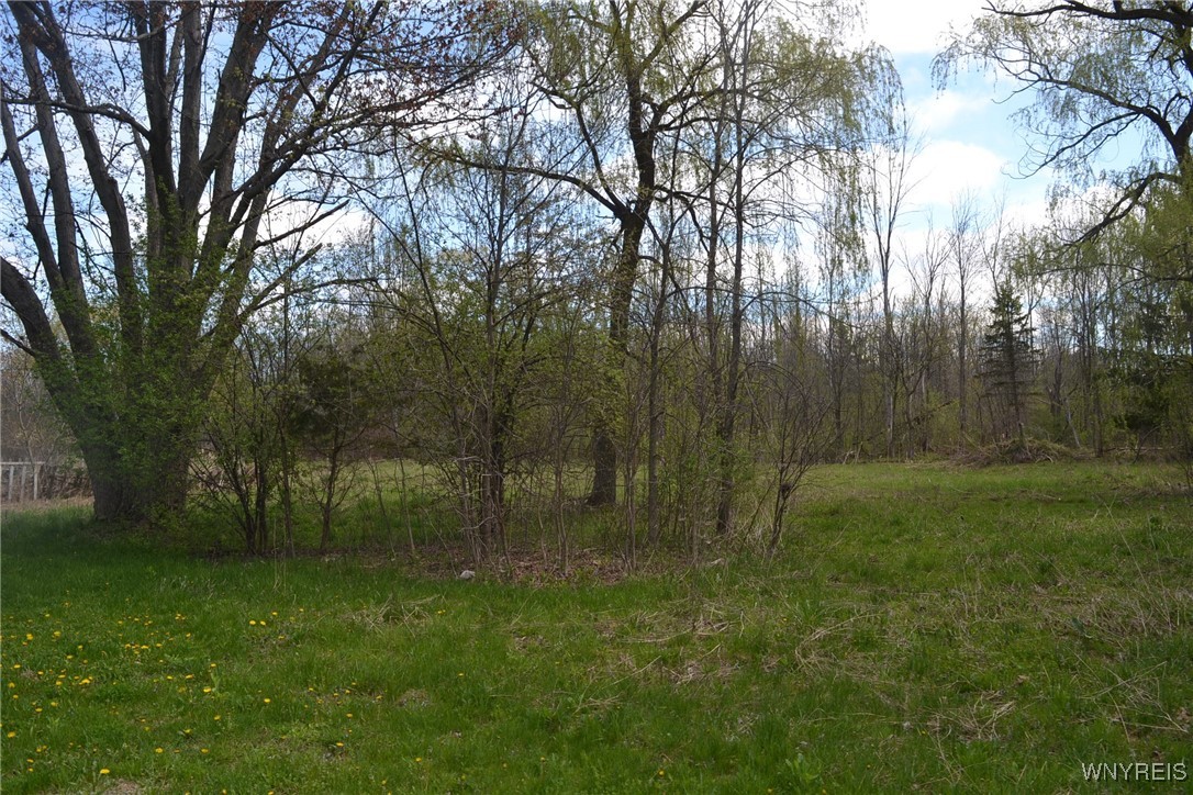 2021 Ferrier Road, Eden, New York image 3