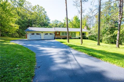 Homes For Sale - 9299 Blanchard Road<br/> Colden, NY 14170