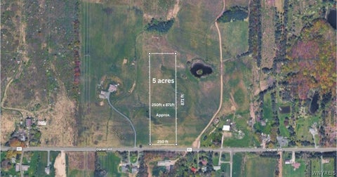 Vacant Land For Sale - 5 ACRE LOT Darien Road<br/> Colden, NY 14080