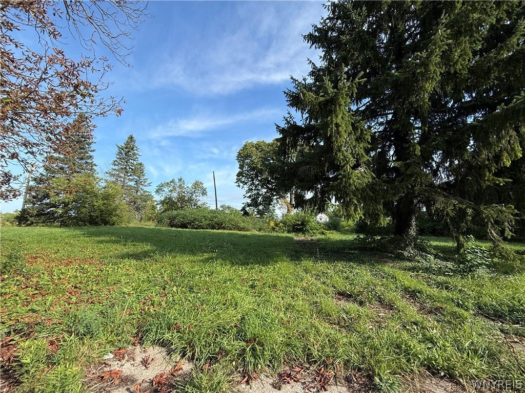 Photo of 718 Willow Avenue, Niagara Falls, NY 14305 (MLS # B1711262)