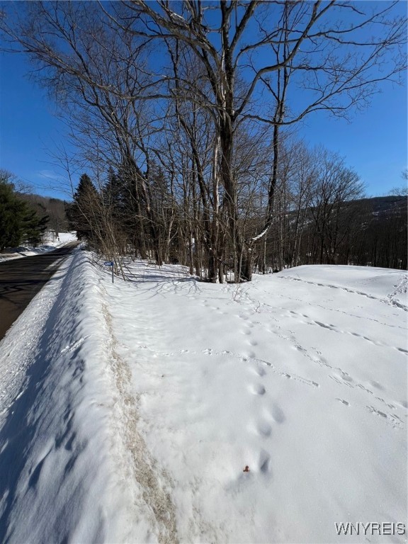 6887 Niles Road, Ellicottville, New York image 2