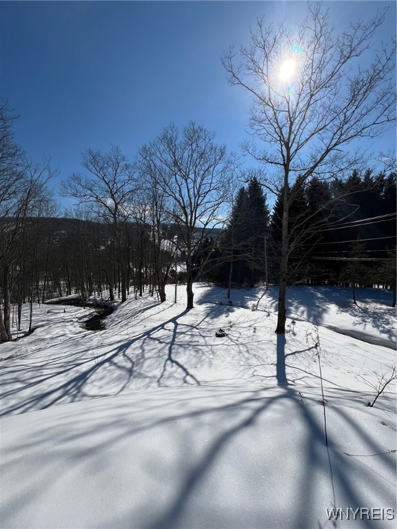 6887 Niles Road, Ellicottville, New York image 4