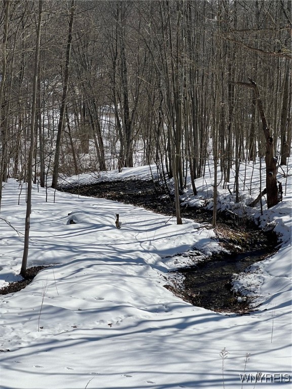 6887 Niles Road, Ellicottville, New York image 5