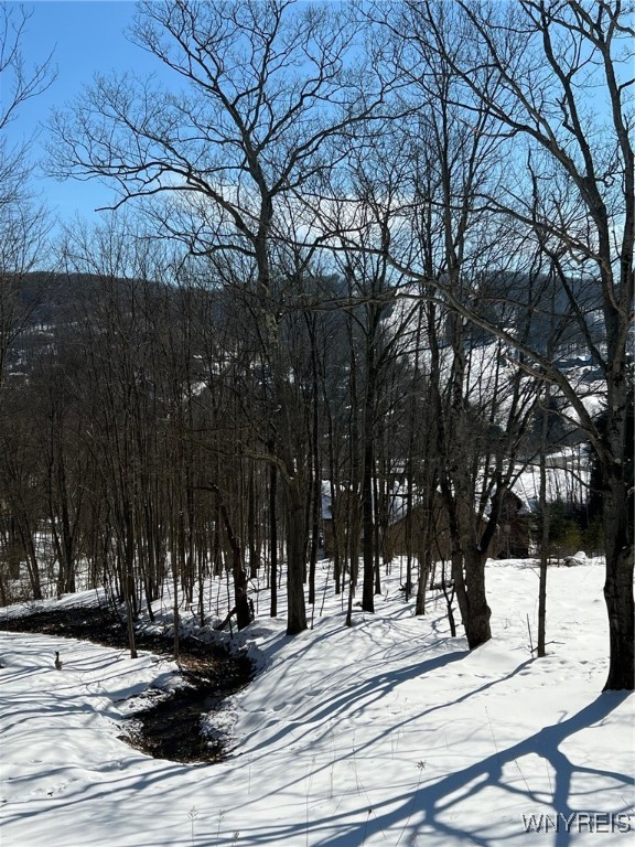 6887 Niles Road, Ellicottville, New York image 6