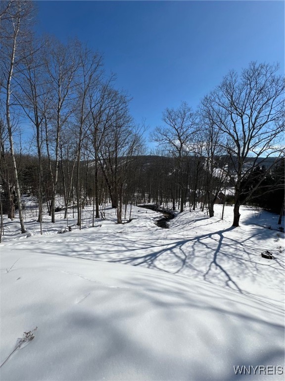 6887 Niles Road, Ellicottville, New York image 3
