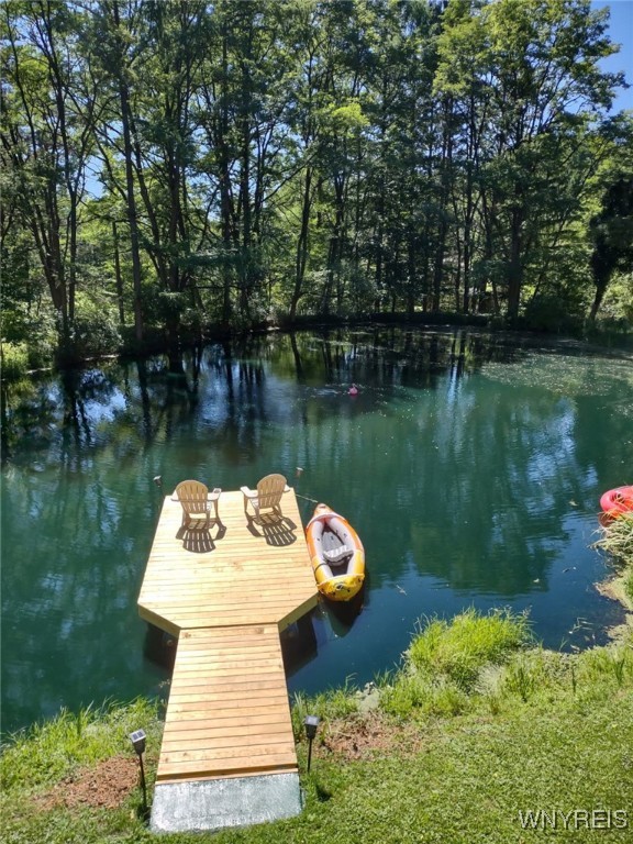 3608 Ford Miles Road, Hinsdale, New York image 50