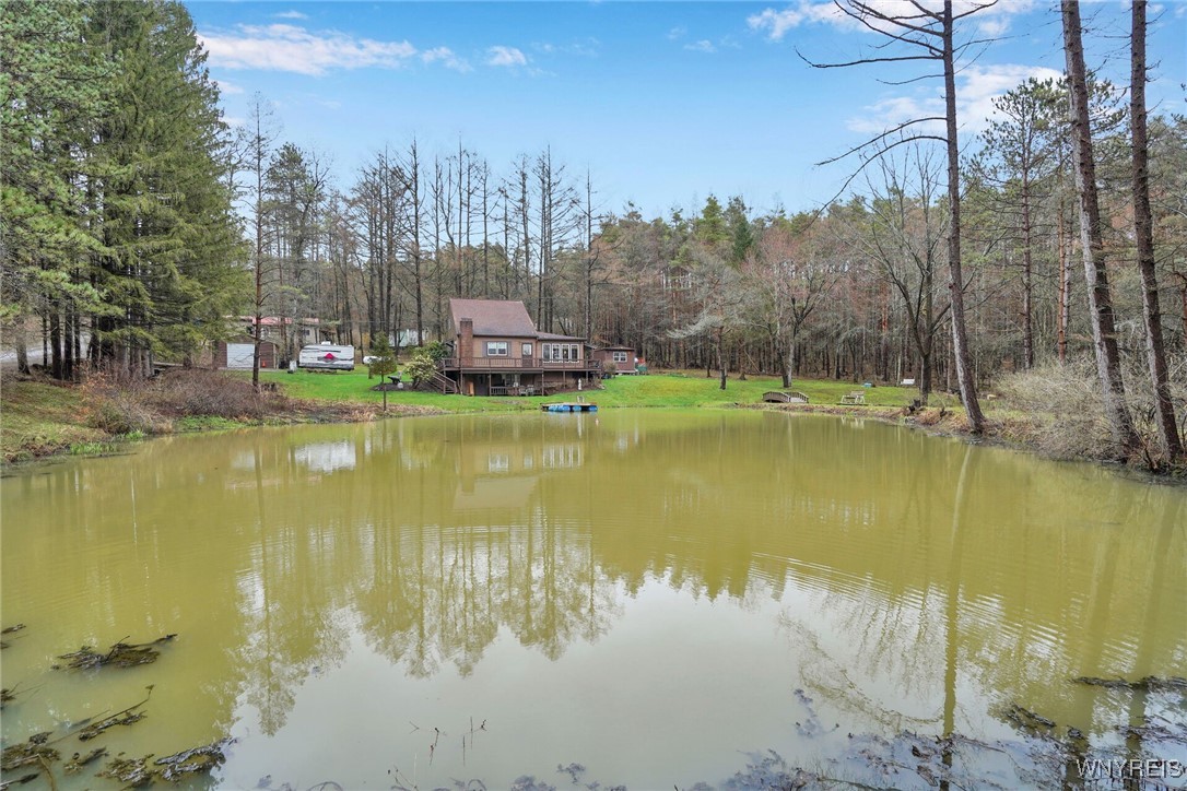 3608 Ford Miles Road, Hinsdale, New York image 37