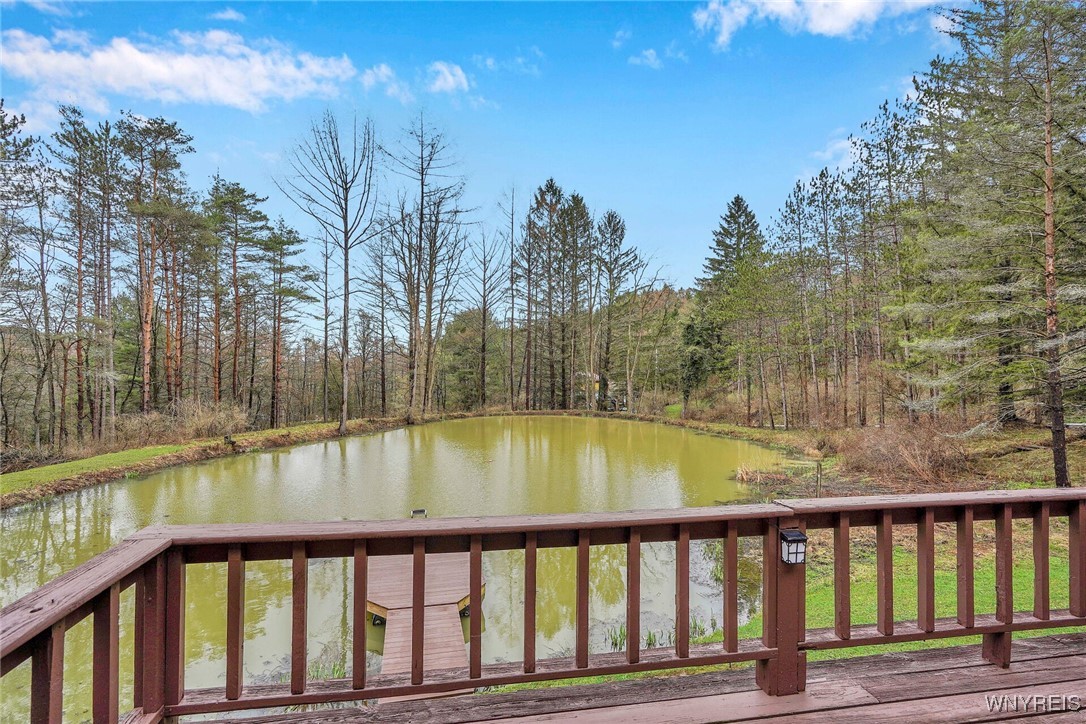3608 Ford Miles Road, Hinsdale, New York image 41